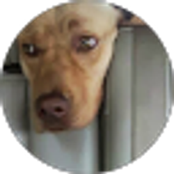 Profile photo of Melinda M