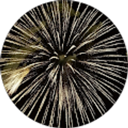 Profile photo of Stephen Mertel