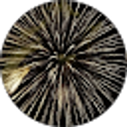 Profile photo of Stephen Mertel