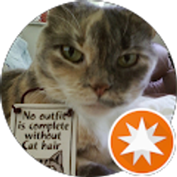 Profile photo of Lauren Miller