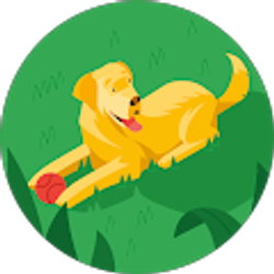 Profile photo of Watson