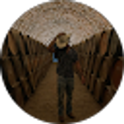 Profile photo of RAMO