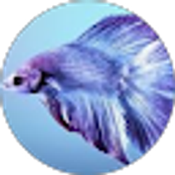 Profile photo of CoolTropicalFish - Ebay