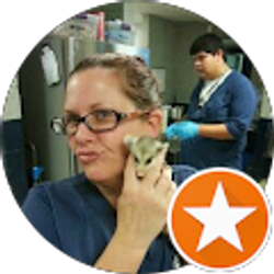 Profile photo of kati tarleton