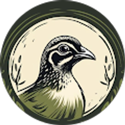 Profile photo of Samantha