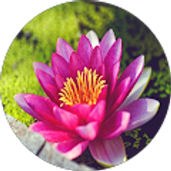 Profile photo of Holly Kenny