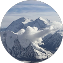 Profile photo of M Volpe