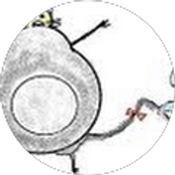 Profile photo of Zongrui Ding