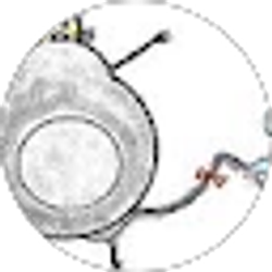 Profile photo of Zongrui Ding
