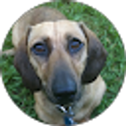 Profile photo of Theron McDonald