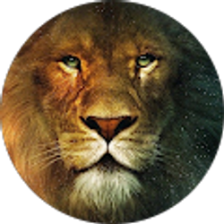 Profile photo of Kaela Warren