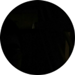 Profile photo of Bradley Martin