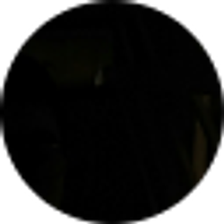 Profile photo of Bradley Martin