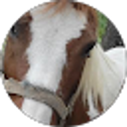 Profile photo of Jenny Boyd