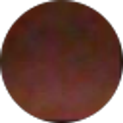 Profile photo of susan delong