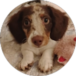 Profile photo of Melissa Downs