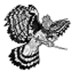 Profile photo of 38AMERICA