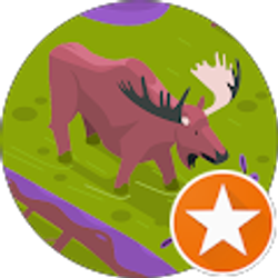 Profile photo of Aimee Thorgaard