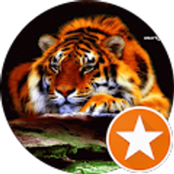 Profile photo of Benjamin Kollenborn