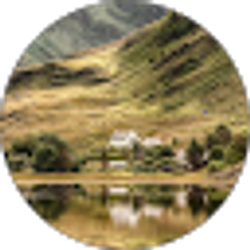 Profile photo of Sharalyn Johnson