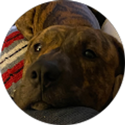 Profile photo of Syerra Plyler