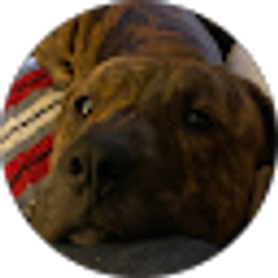 Profile photo of Syerra Plyler