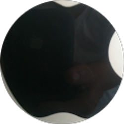 Profile photo of luis eduardo Benitez