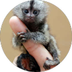 Profile photo of Jonathan Gordon