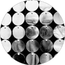 Profile photo of Alan Messer