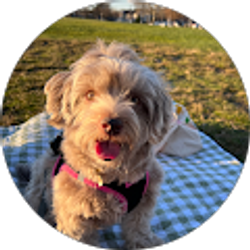 Profile photo of Kelly