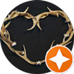 Profile photo of Wendy Smith