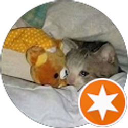 Profile photo of Teresa Robinson