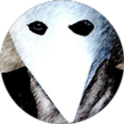 Profile photo of Steve Plamann