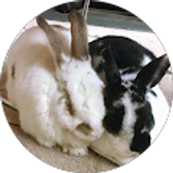 Profile photo of Marla Manning