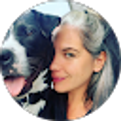 Profile photo of Tina Lanzy