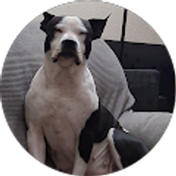 Profile photo of Diane Sanchez