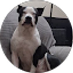 Profile photo of Diane Sanchez