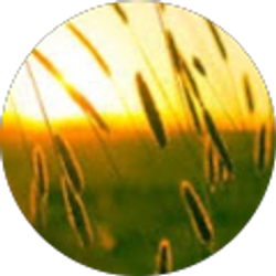 Profile photo of Neil Pham