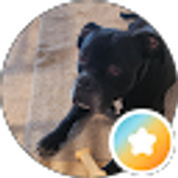 Profile photo of A. B.