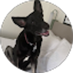 Profile photo of Mercedes Wolf