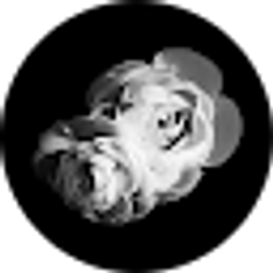 Profile photo of Lily B