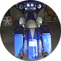 Profile photo of Will Anderson