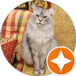 Profile photo of Holly