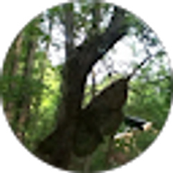 Profile photo of Melody Nunamaker