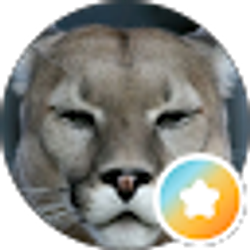 Profile photo of Jay Fresh (icuh8ing)