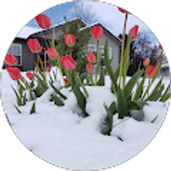 Profile photo of Suzanne Cable