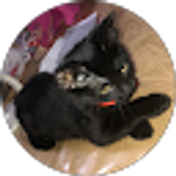 Profile photo of angel g