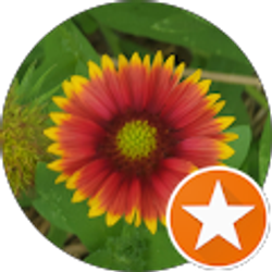 Profile photo of Tina D