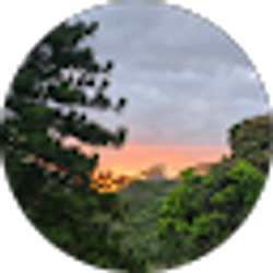 Profile photo of Keola Lua