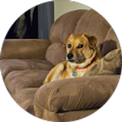 Profile photo of Nikki Kachelmeier